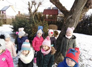 Zimą dokarmiamy ptaki