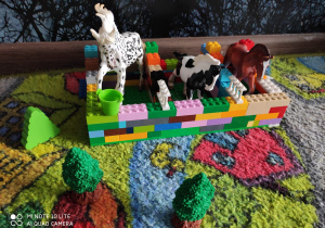 Budowanie domu dla ulubionego wiejskiego zwierzęcia - zabawa konstrukcyjna Adasia