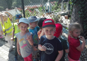 Dzieci w zoo