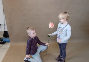 chłopiec klęczy i wręcza różę dziewczynce