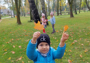 Dzieci zbierają jesienne liście w parku