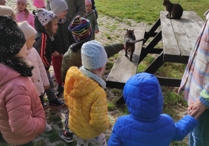 Dzieci podczas zwiedzania osady edukacyjnej