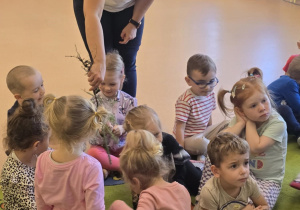 dzieci oglądają sadzonki drzew