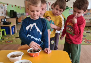 Chłopiec sieje owies do pojemniczka z ziemią
