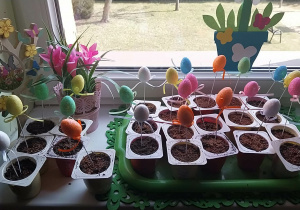 wysiana rzeżucha stoi na parapecie okna