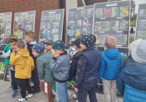 dzieci oglądają nagrodzone fotografie przyrody
