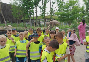 kąpiel słoni